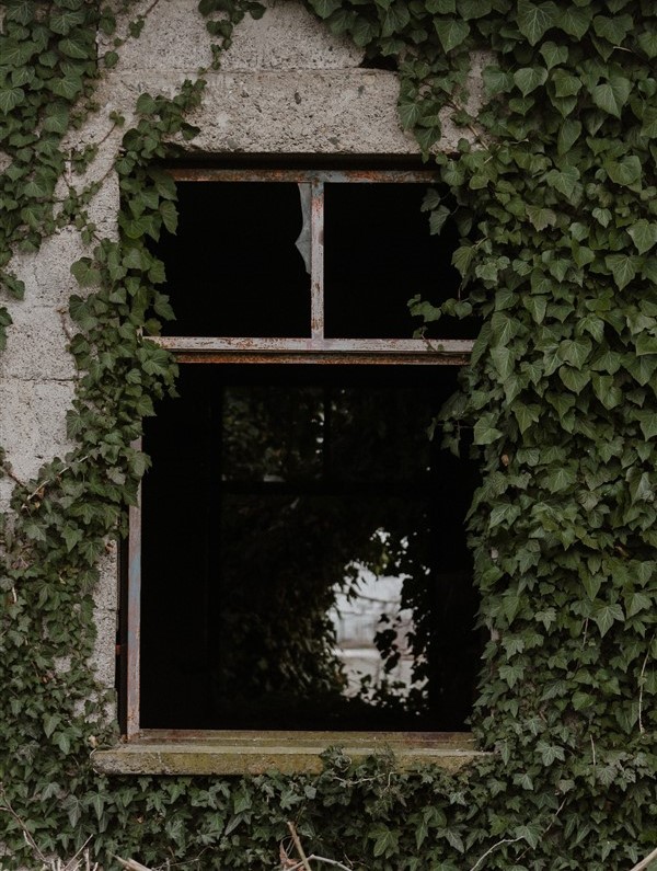 glazier wellington kapiti